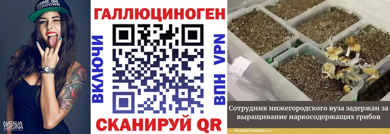 Псилоцибиновые грибы GOLDEN TEACHER  купить закладку  нарко площадка формула  Бокситогорск 