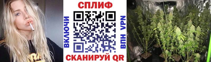 Бошки Шишки Amnesia Бокситогорск